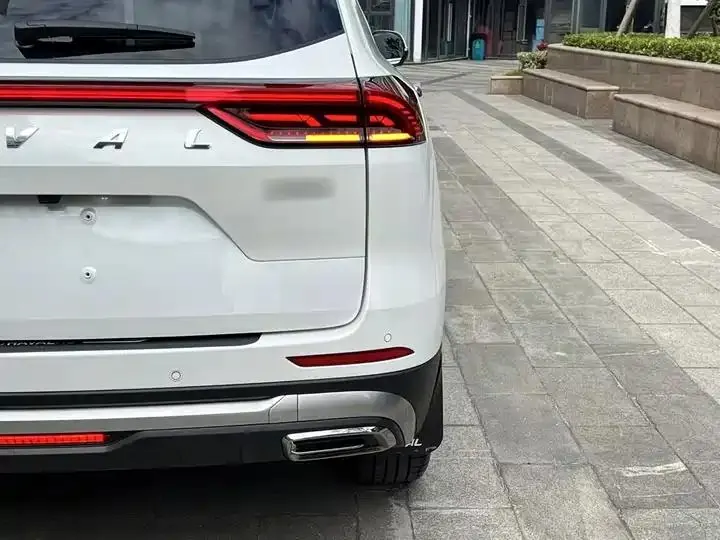 Haval H6 2023 National Tide Edition 1.5T Auto Champion Edition 8