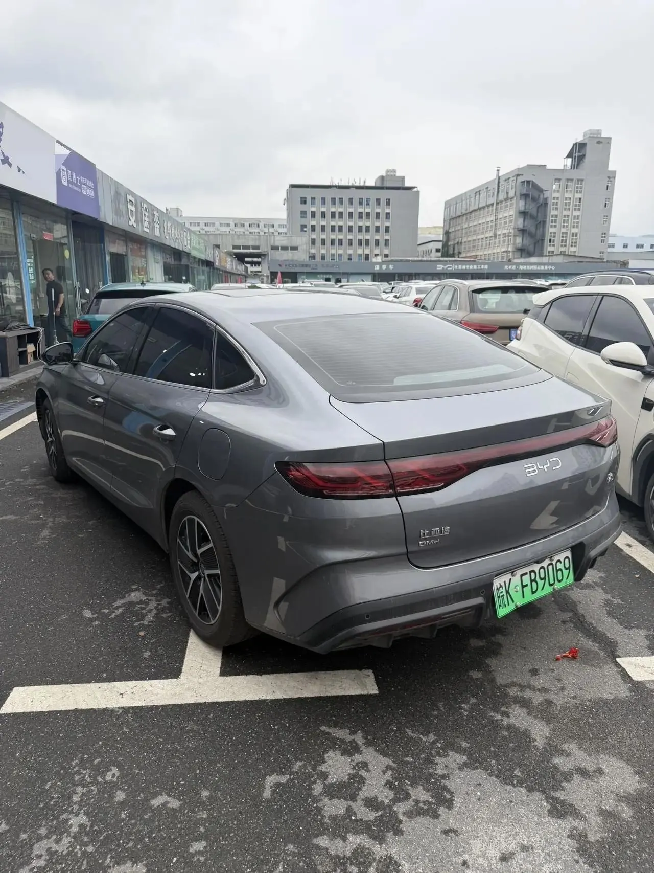 Qin L 2024 DM-i 120KM Exceed 6