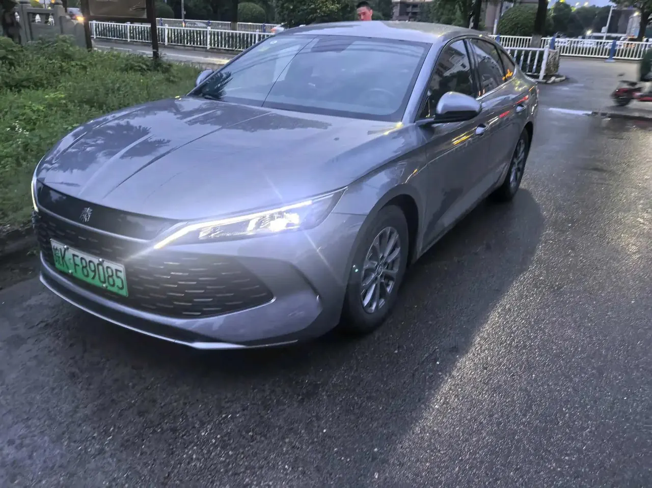 Qin L 2024 DM-i 80KM Leading Type - View 1