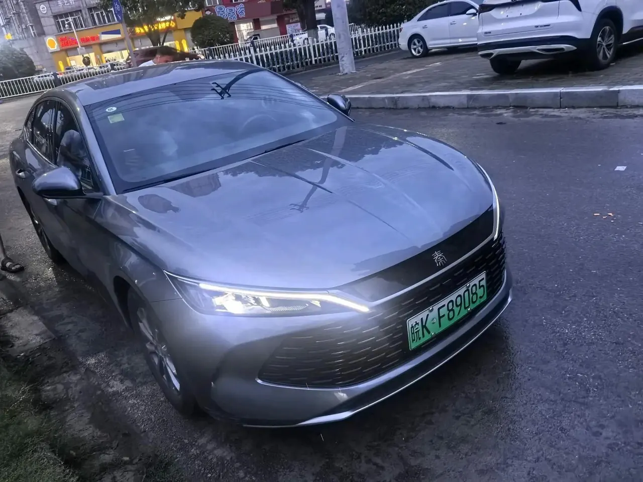Qin L 2024 DM-i 80KM Leading Type 4