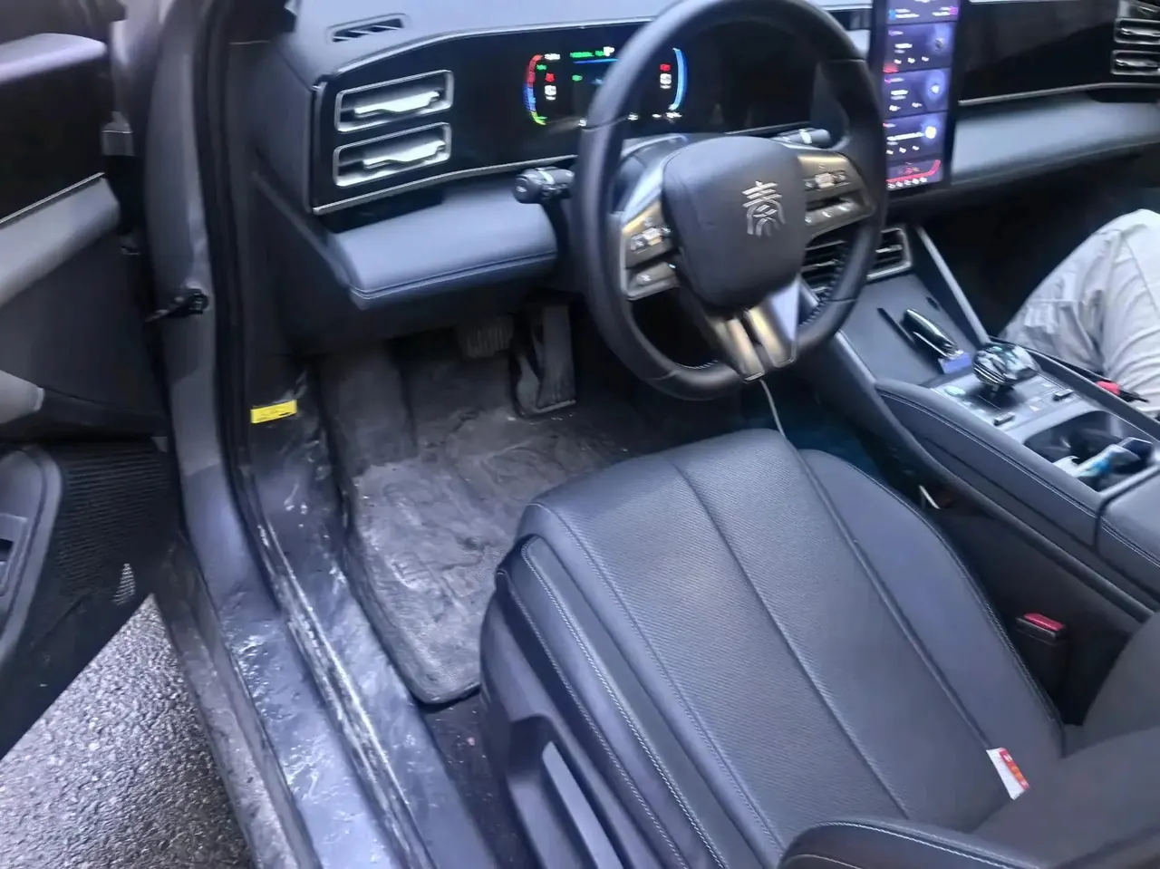 Qin L 2024 DM-i 80KM Leading Type 5