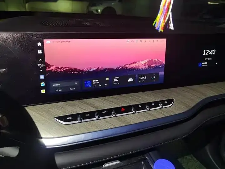 WEY Blue Mountain 2023 Four-wheel Drive Long Endurance Edition 13