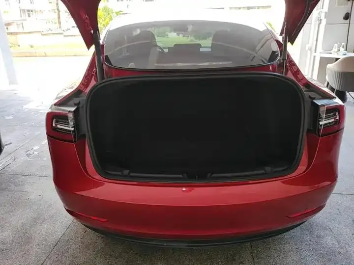 Model 3 2021 model facelift standard endurance rear drive upgrade 3D1 19