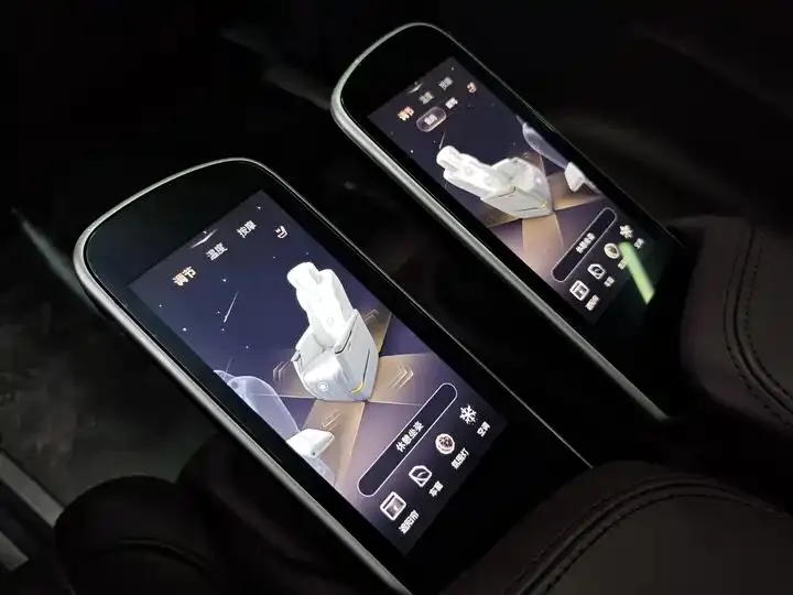 Century 2023 2.0T Six-seat World Edition 12