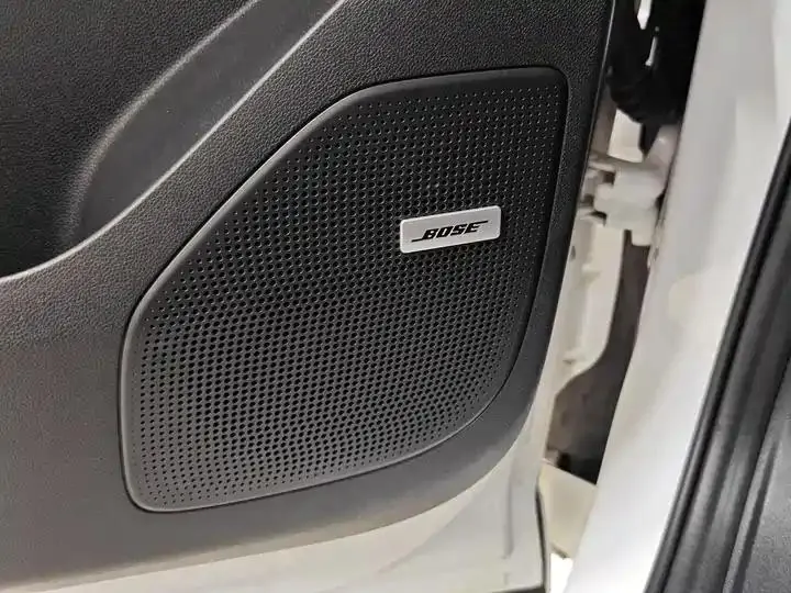 Century 2023 2.0T Six-seat World Edition 17