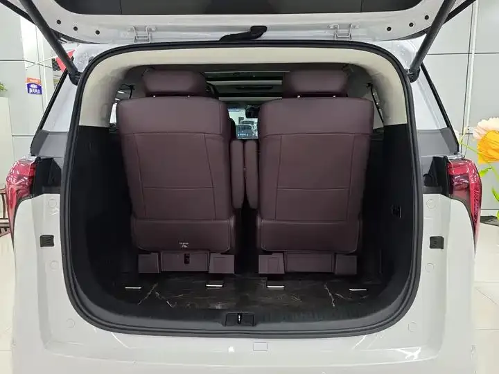 Century 2023 2.0T Six-seat World Edition 19