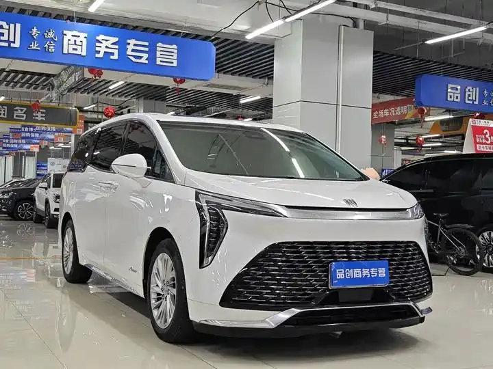 Century 2023 2.0T Six-seat World Edition 3