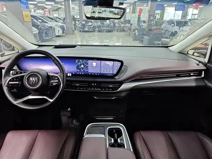 Century 2023 2.0T Six-seat World Edition 4
