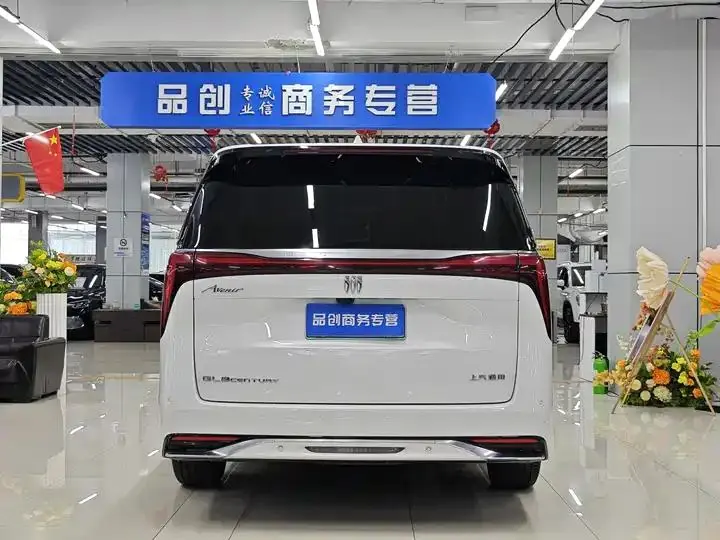 Century 2023 2.0T Six-seat World Edition 8