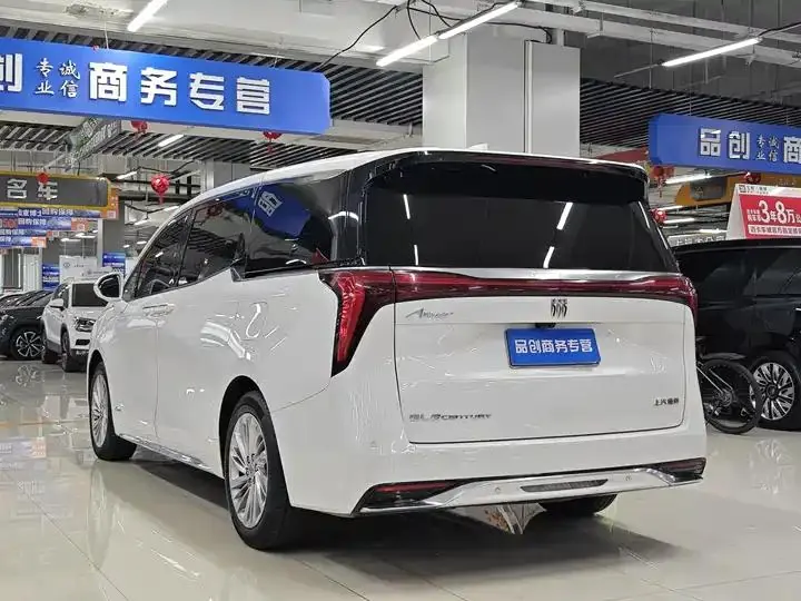 Century 2023 2.0T Six-seat World Edition 9