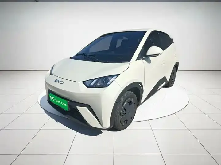 Seagull 2025 Model, 305km Range, Dynamic Edition - View 1