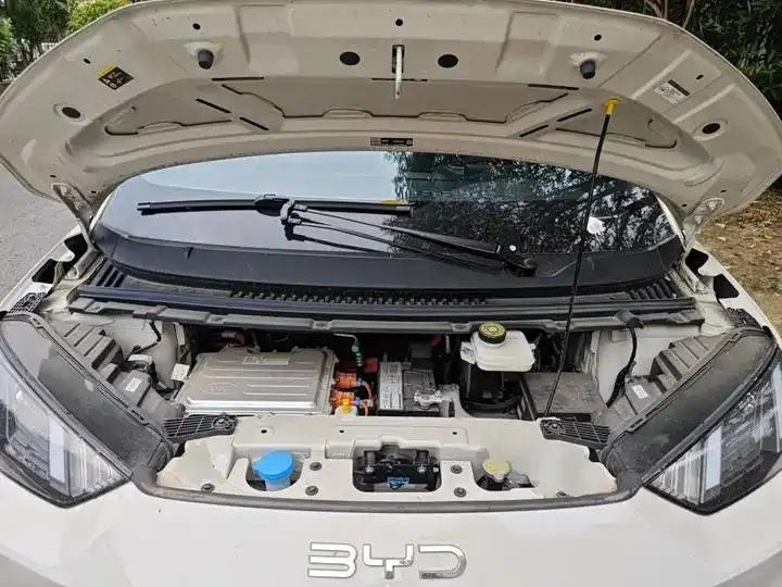 Seagull 2025 Model, 305km Range, Dynamic Edition 11