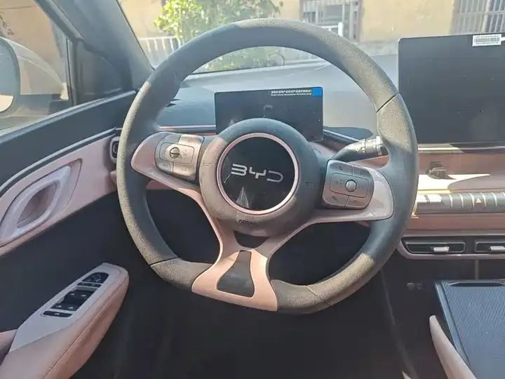 Seagull 2025 Model, 305km Range, Dynamic Edition 12