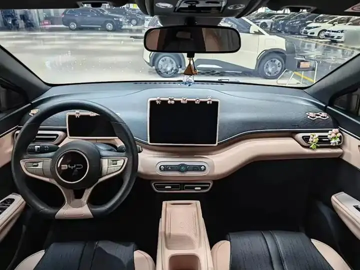 Seagull 2025 Model, 305km Range, Dynamic Edition 13
