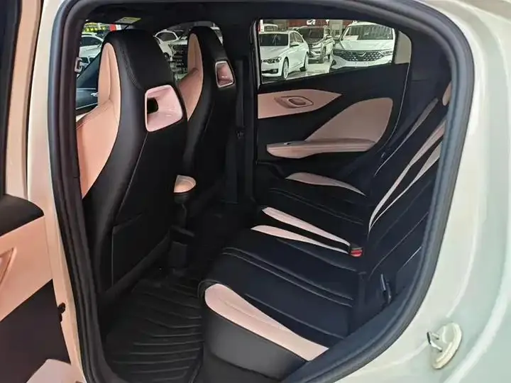 Seagull 2025 Model, 305km Range, Dynamic Edition 14
