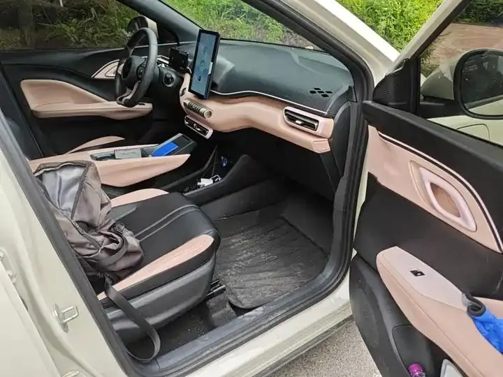 Seagull 2025 Model, 305km Range, Dynamic Edition 19