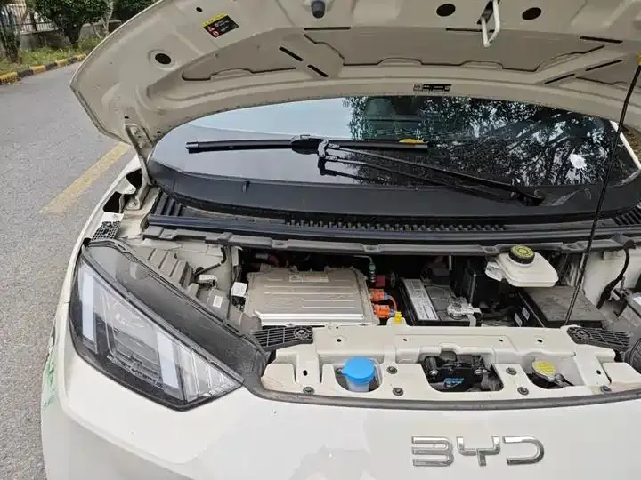 Seagull 2025 Model, 305km Range, Dynamic Edition 20