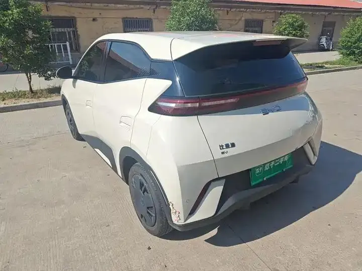Seagull 2025 Model, 305km Range, Dynamic Edition 23