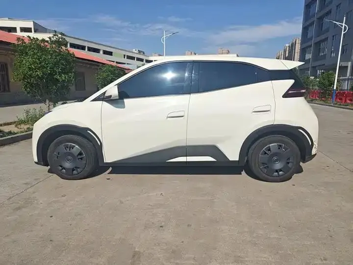 Seagull 2025 Model, 305km Range, Dynamic Edition 25