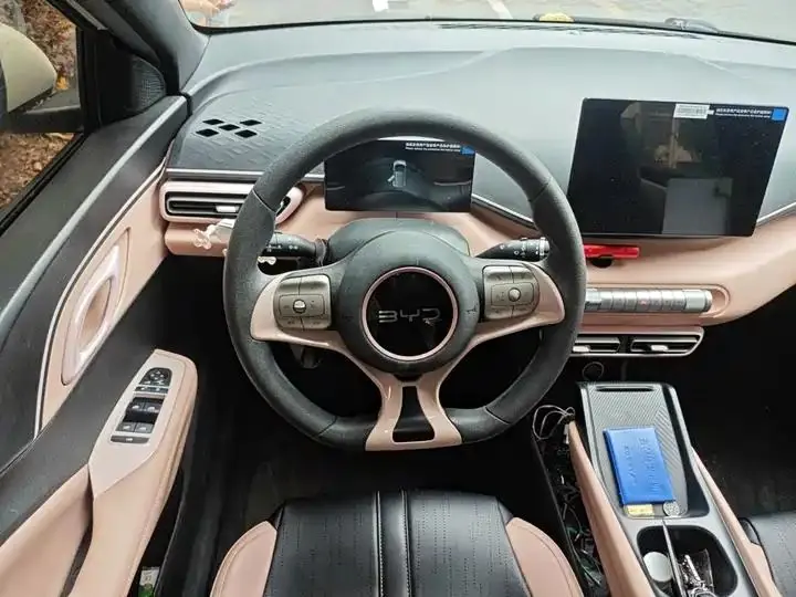 Seagull 2025 Model, 305km Range, Dynamic Edition 3