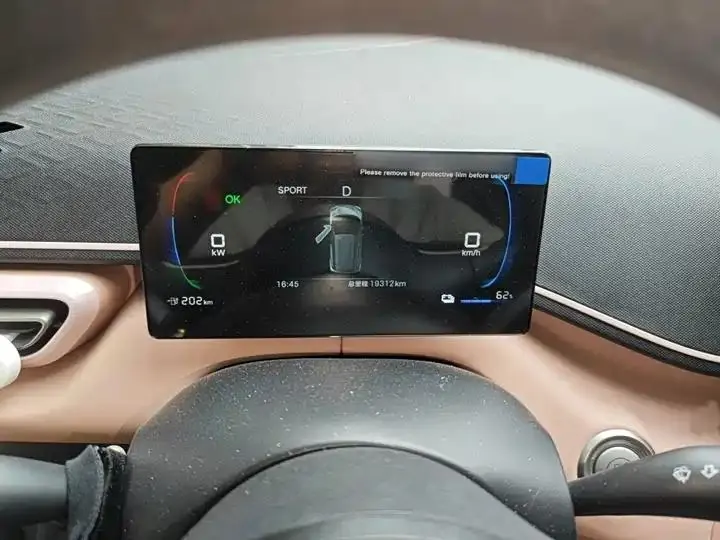 Seagull 2025 Model, 305km Range, Dynamic Edition 4