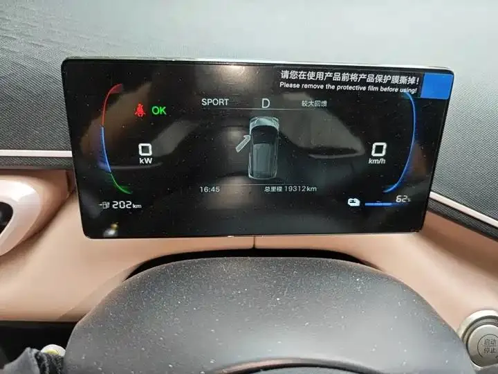 Seagull 2025 Model, 305km Range, Dynamic Edition 5
