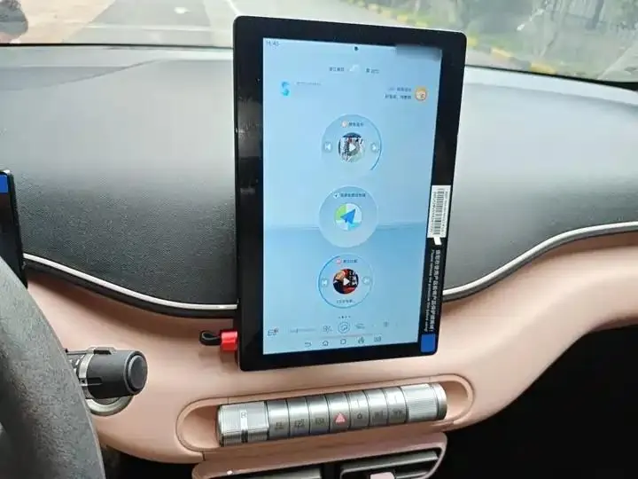 Seagull 2025 Model, 305km Range, Dynamic Edition 6