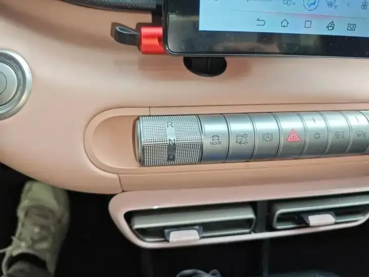 Seagull 2025 Model, 305km Range, Dynamic Edition 7