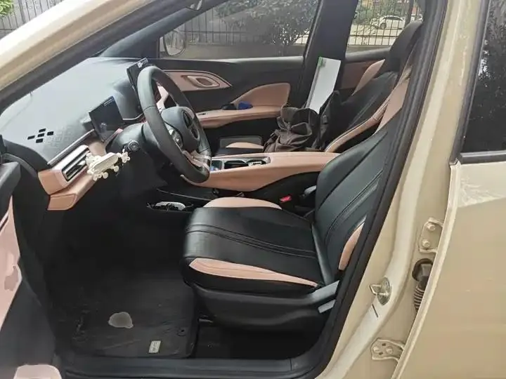 Seagull 2025 Model, 305km Range, Dynamic Edition 8