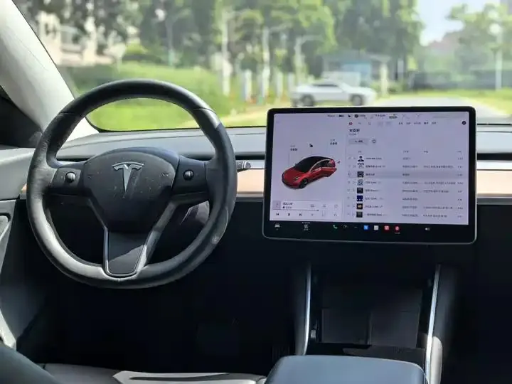 2020 Model 3 Standard Range Rear-Wheel Drive Upgrade Version 10