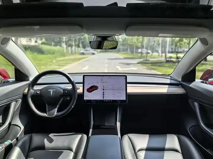 2020 Model 3 Standard Range Rear-Wheel Drive Upgrade Version 9