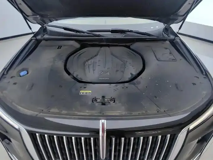 HongQi H9 2020 model 2.0T Intelligent Connected Flag Enjoyment Edition 10