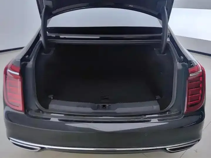 HongQi H9 2020 model 2.0T Intelligent Connected Flag Enjoyment Edition 4