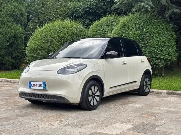WuLing Plantronics 2024 410km LingBox Premium - View 1