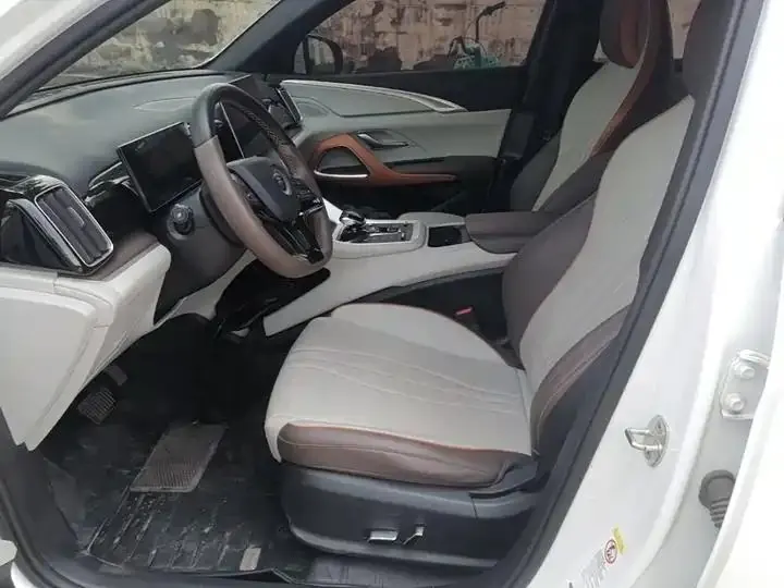 Song Pro New Energy 2023 Champion Edition DM-i 71KM Leading Type 11
