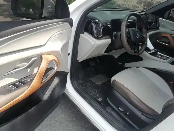Song Pro New Energy 2023 Champion Edition DM-i 71KM Leading Type 12