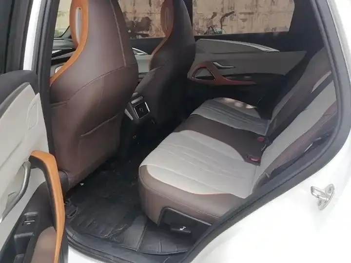 Song Pro New Energy 2023 Champion Edition DM-i 71KM Leading Type 13