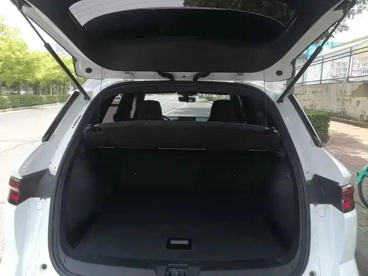 Song Pro New Energy 2023 Champion Edition DM-i 71KM Leading Type 15