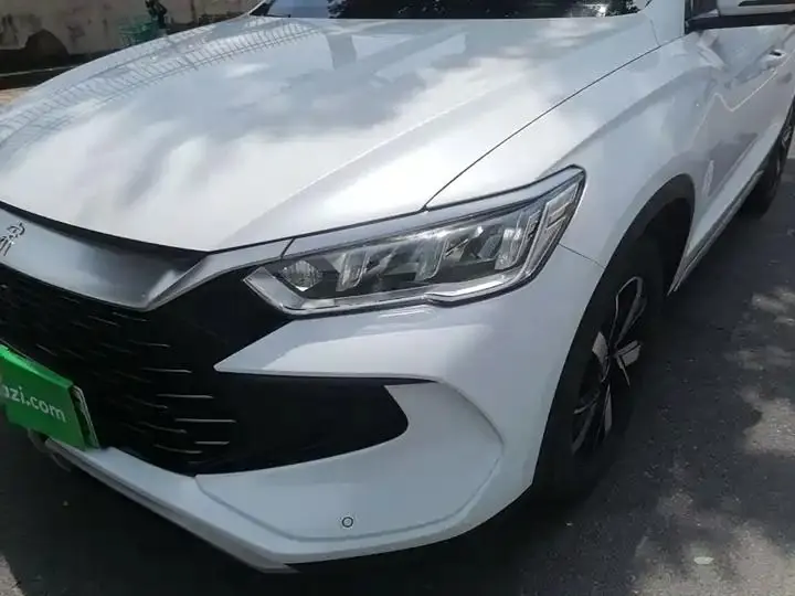 Song Pro New Energy 2023 Champion Edition DM-i 71KM Leading Type 18