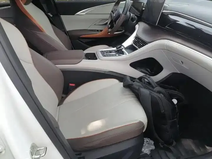 Song Pro New Energy 2023 Champion Edition DM-i 71KM Leading Type 20