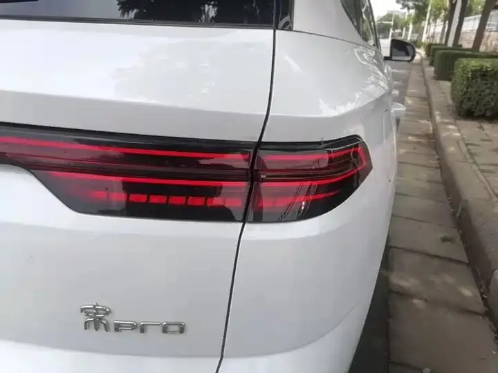 Song Pro New Energy 2023 Champion Edition DM-i 71KM Leading Type 24