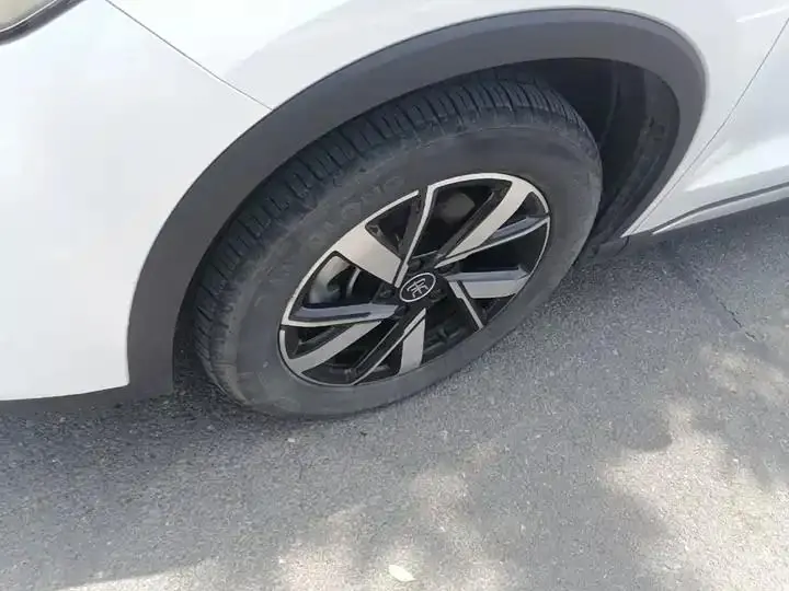 Song Pro New Energy 2023 Champion Edition DM-i 71KM Leading Type 25