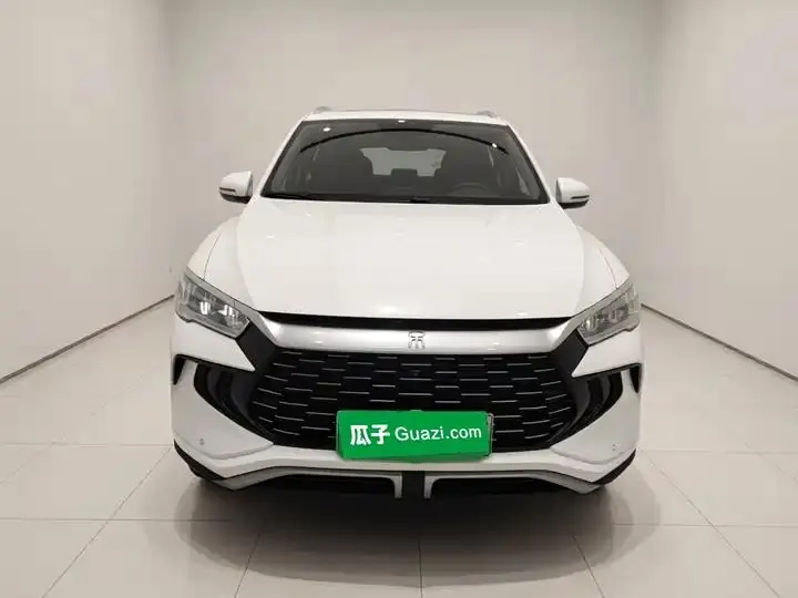 Song Pro New Energy 2023 Champion Edition DM-i 71KM Leading Type 3