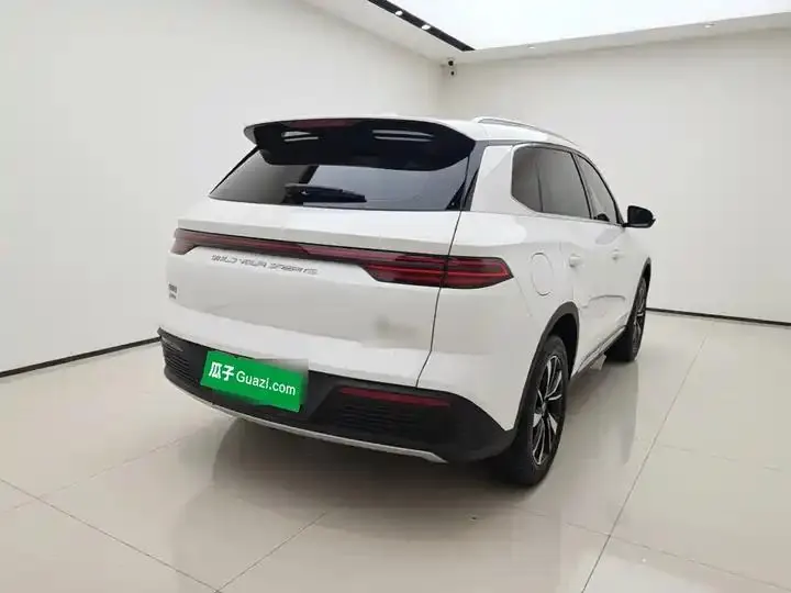 Song Pro New Energy 2023 Champion Edition DM-i 71KM Leading Type 5