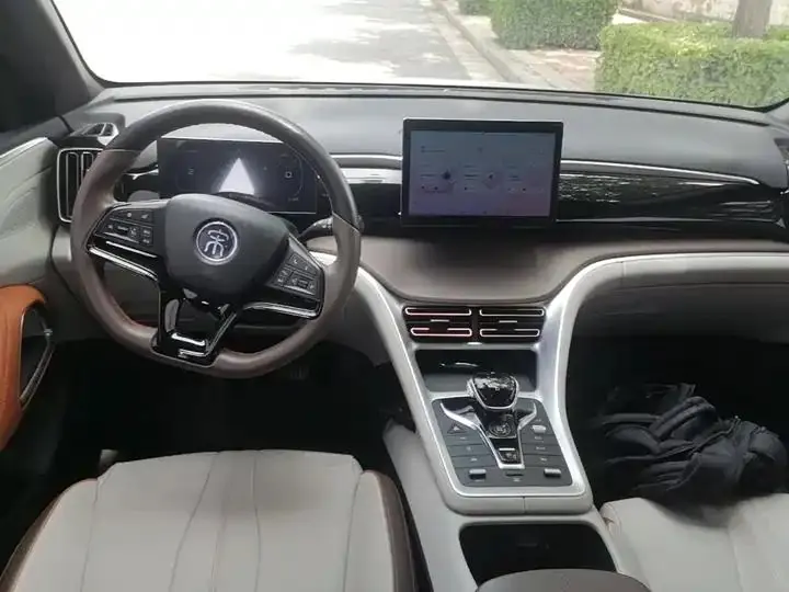 Song Pro New Energy 2023 Champion Edition DM-i 71KM Leading Type 6