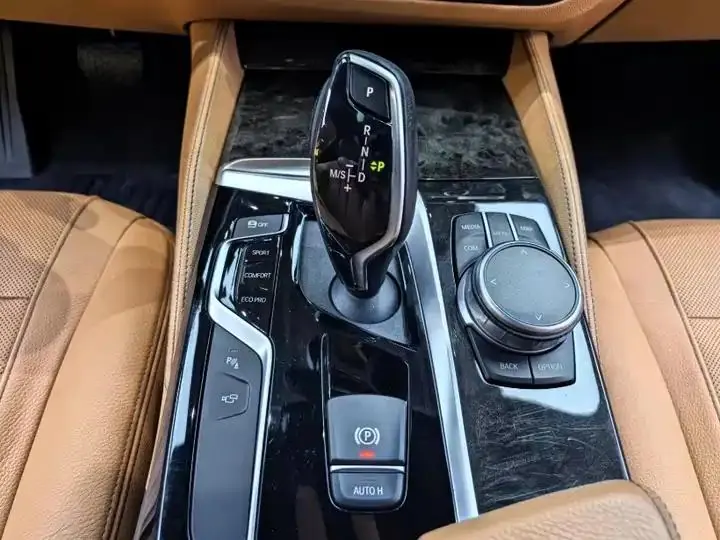 BMW 5 Series 2020 model 530Li Luxury Edition M Sport Package 11