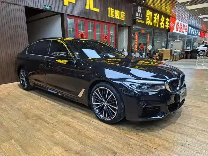 BMW 5 Series 2020 model 530Li Luxury Edition M Sport Package 3