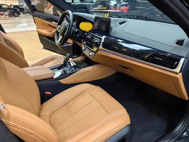 BMW 5 Series 2020 model 530Li Luxury Edition M Sport Package 6