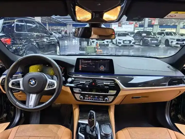BMW 5 Series 2020 model 530Li Luxury Edition M Sport Package 8
