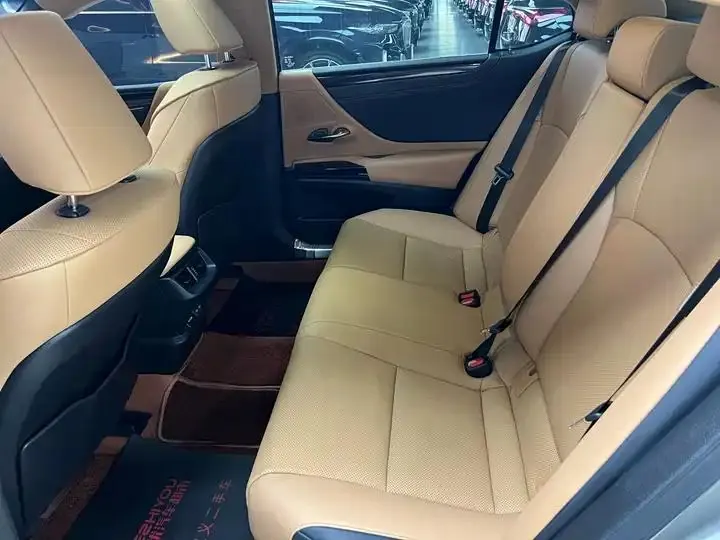 Lexus ES 2023 model 200 Premium Edition 10